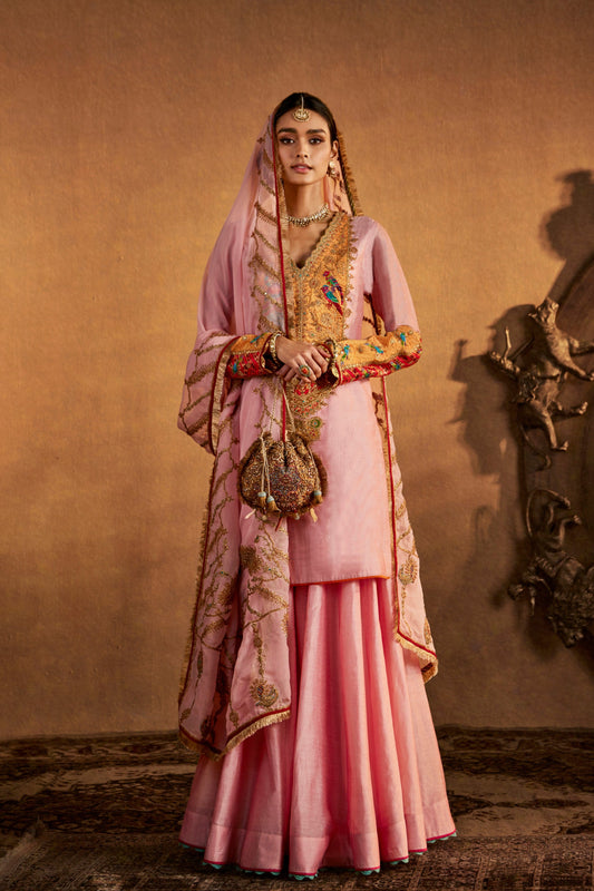 Model in a soft pink sharara set, traditional South Asian design, intricate embroidery, festive occasion wear.