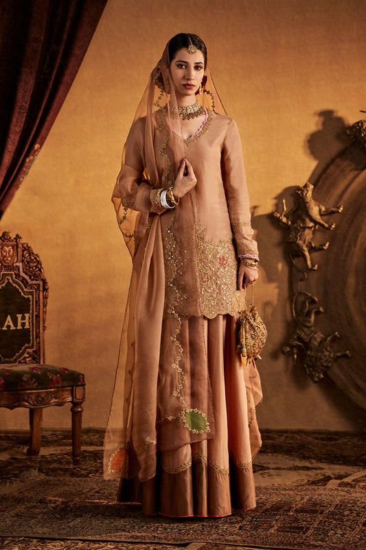 Woman in Bronze-Beige Sharara Set, embroidered ethnic wear, traditional South Asian fashion, full length.