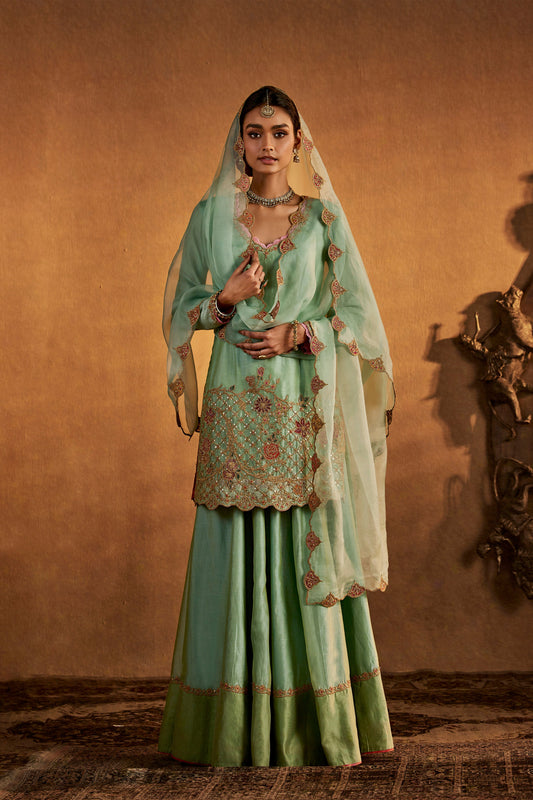 Woman in ice blue embroidered ethnic sharara set, traditional South Asian fashion, full length.