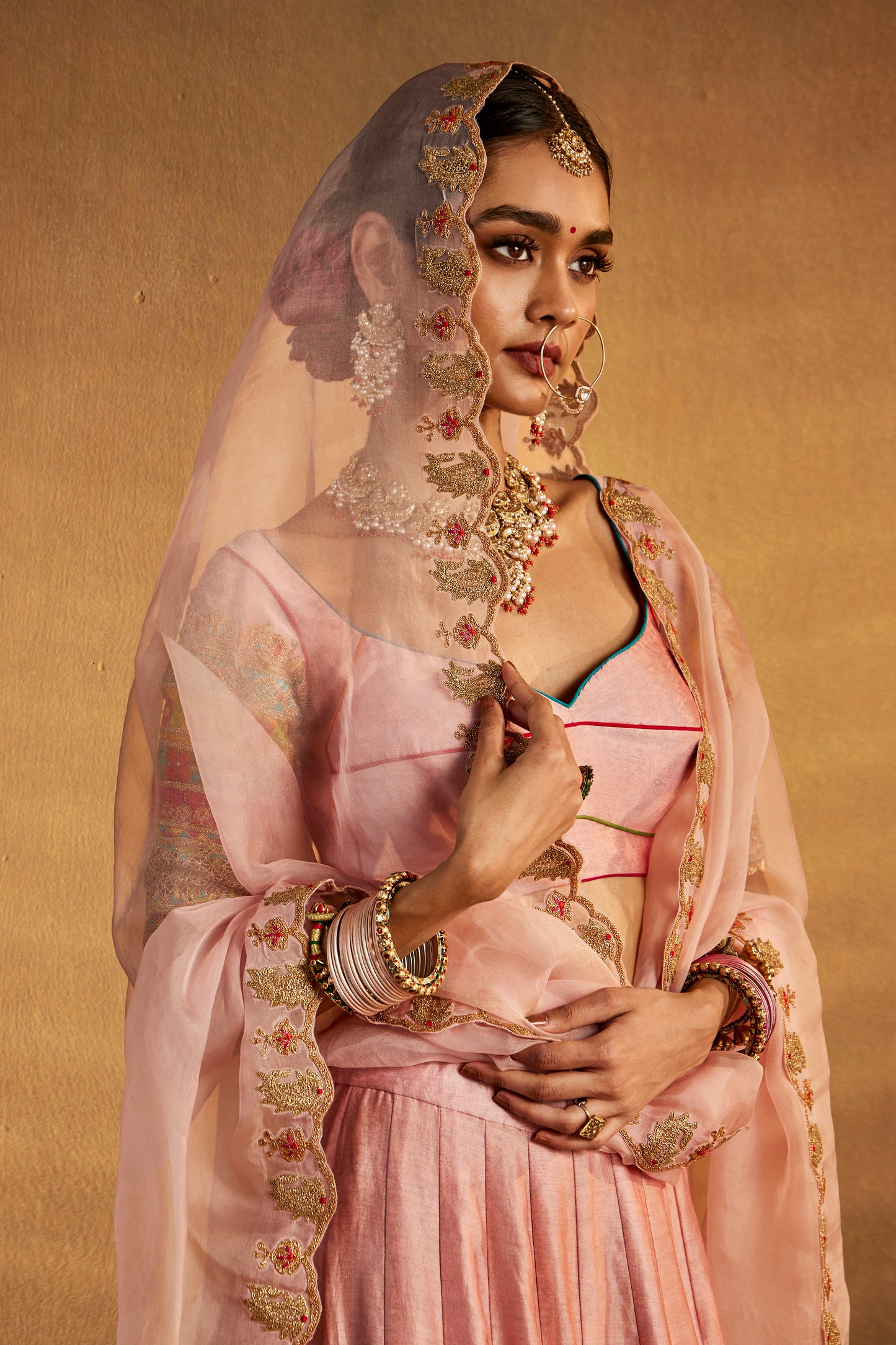 Soft Pink Silk Lehenga