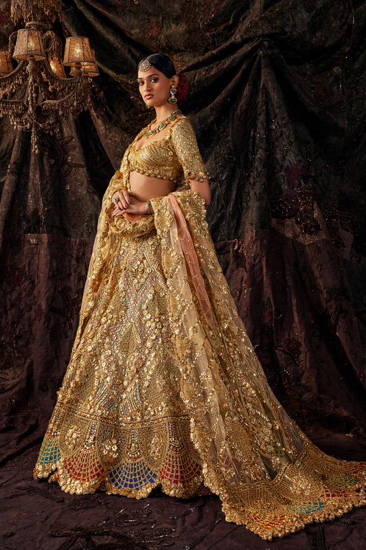 Pale Birch And Gold Tulle Lehenga