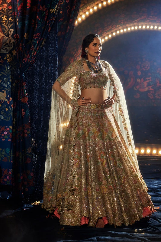 Multi Colour Birds of Paradise Lehenga with Floral Motifs and Birds of Paradise