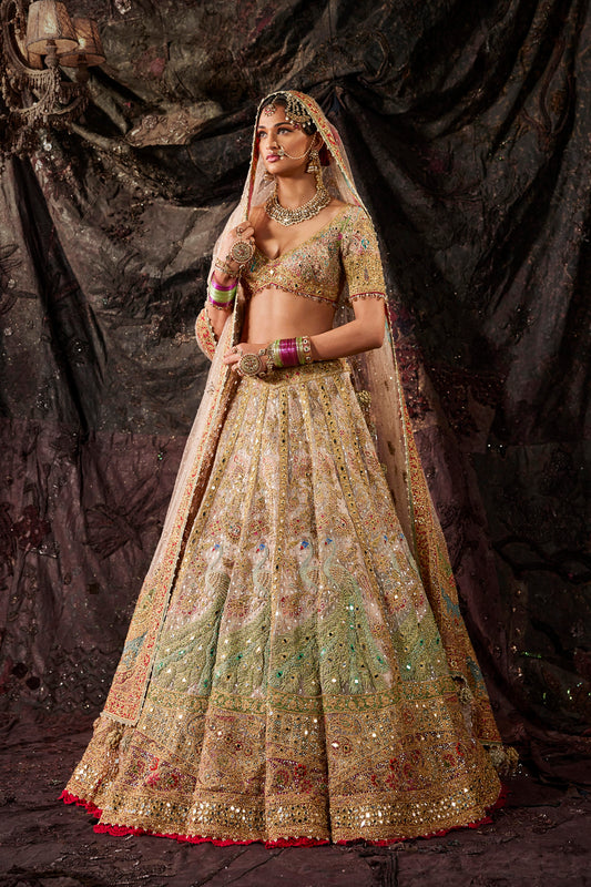 Birch Tulle Embroidered Lehenga