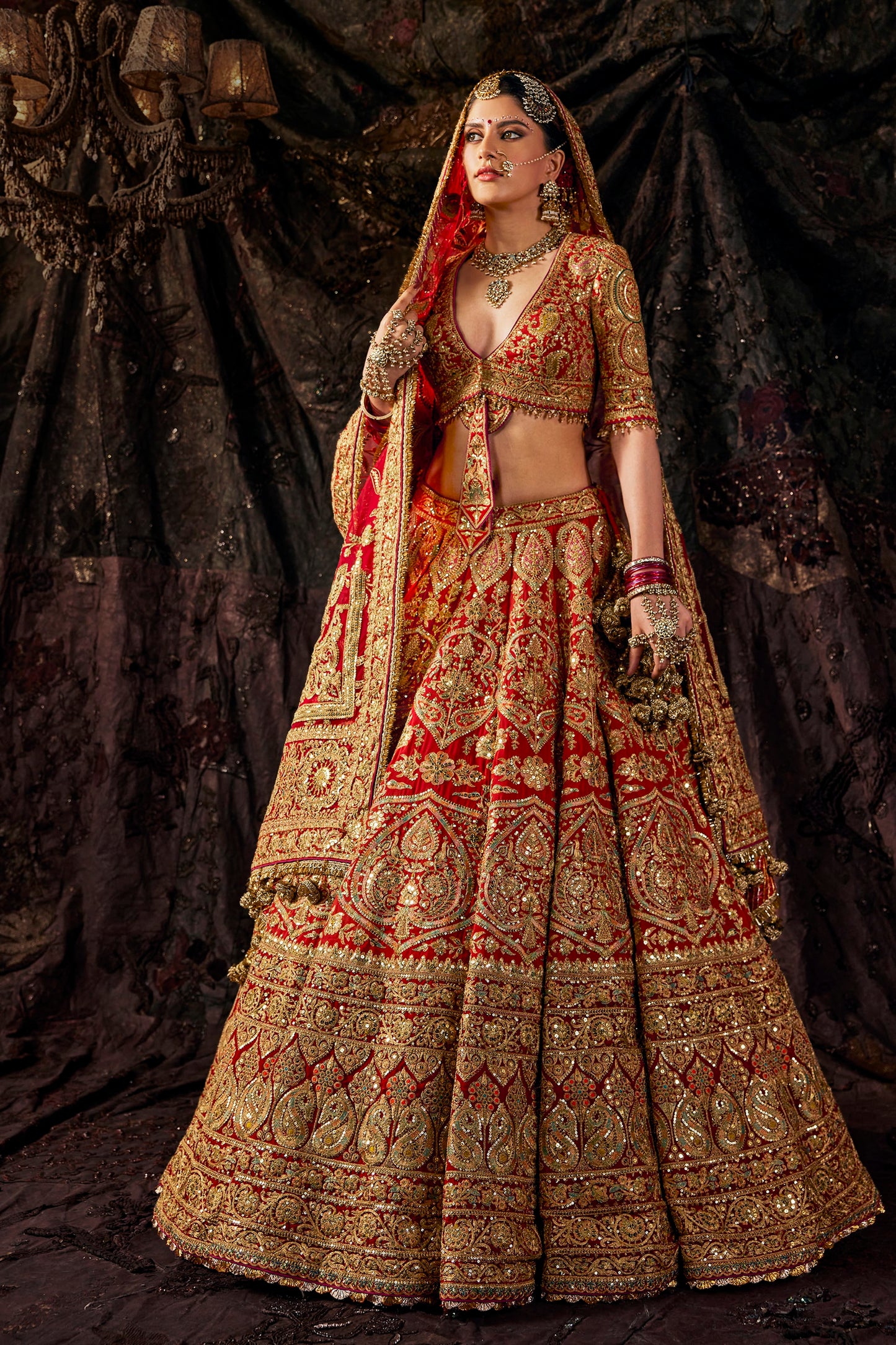 Deep Red Embroidered Georgette Lehenga