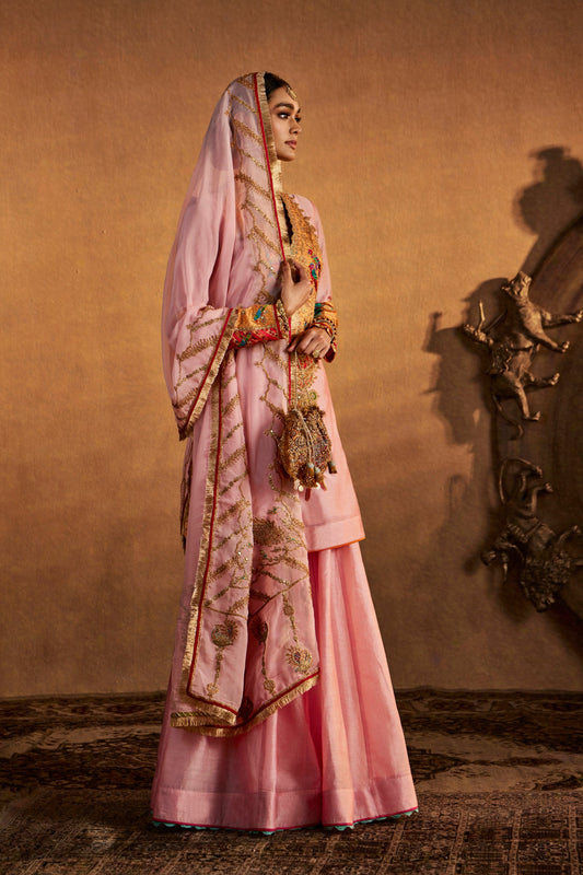 Model in a soft pink sharara set, traditional South Asian design, intricate embroidery, festive occasion wear.