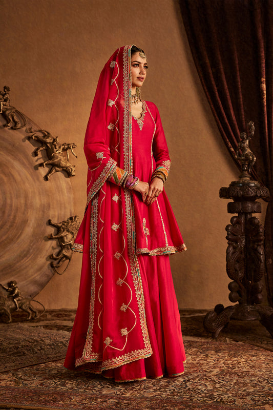 Rani Pink Avian Sharara Set