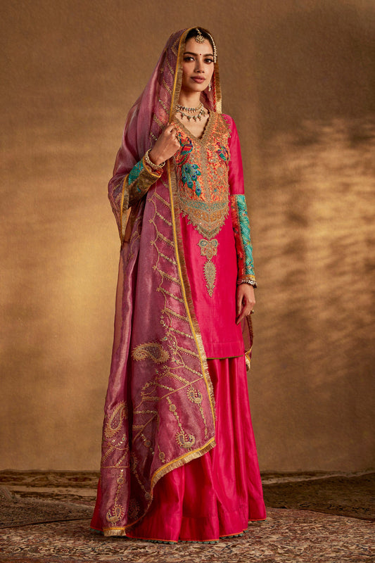 Rani Pink Sharara Set