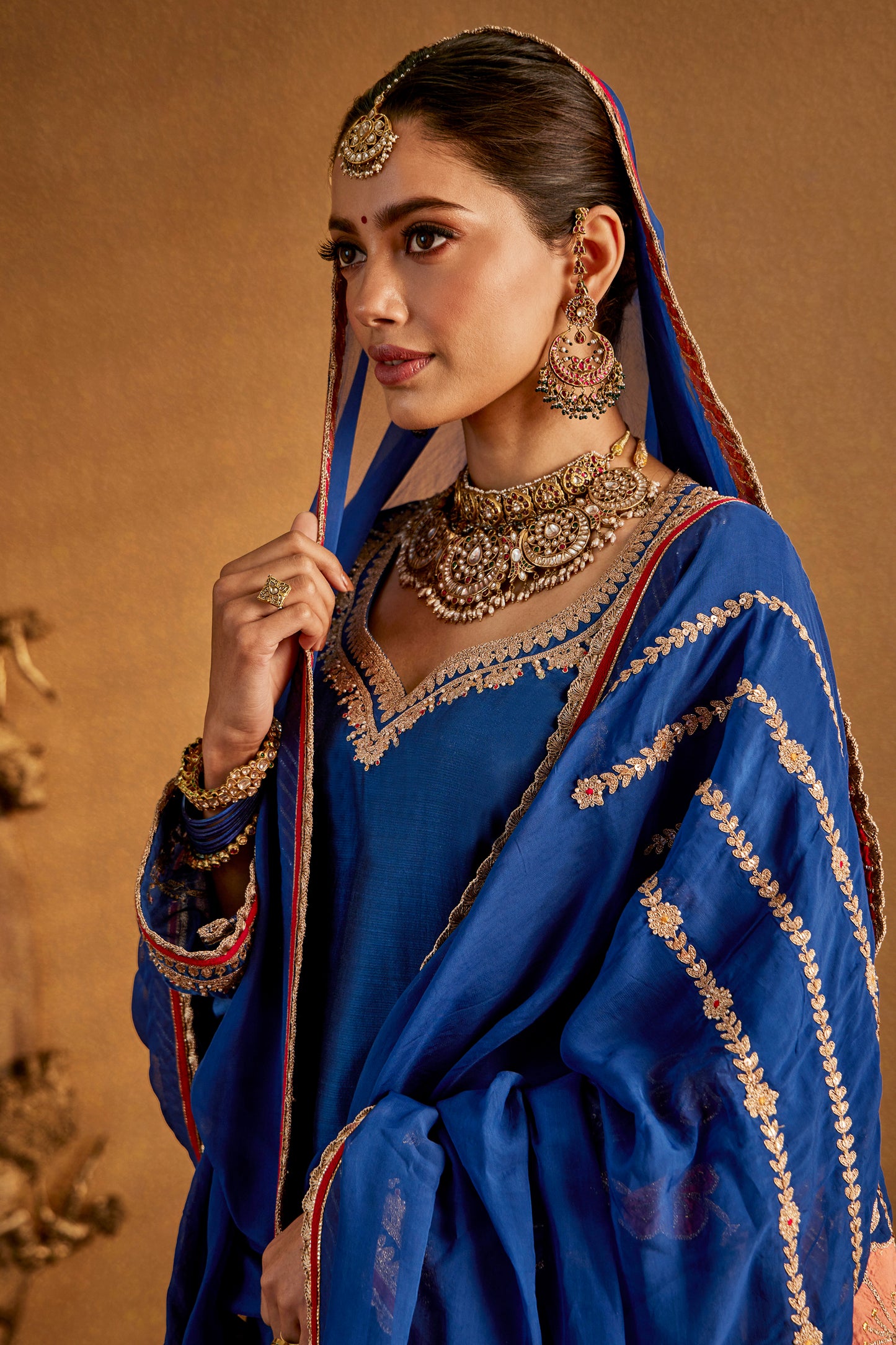 Dark Blue Floral Sharara Set