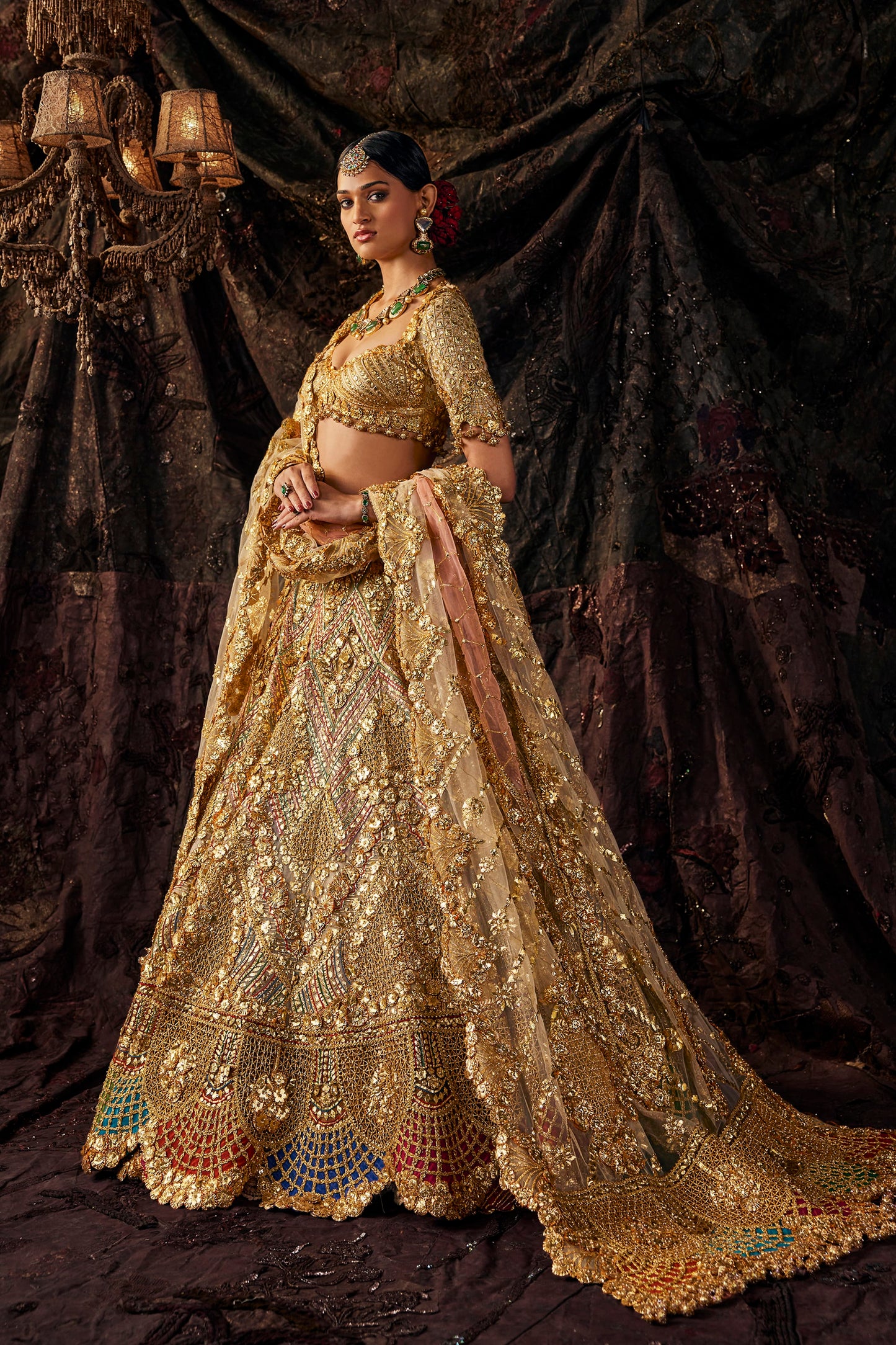 Pale Birch And Gold Tulle Lehenga